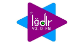 Logo Igdir FM