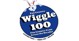 Logo Wiggle 100