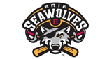Logo Erie SeaWolves Baseball Network