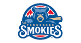 Logo Tennessee Smokies Baseball Network