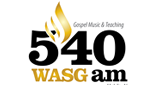 Logo Wilkins Radio