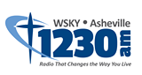 Logo Wilkins Radio