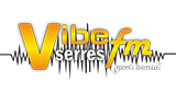 Logo Vibe FM