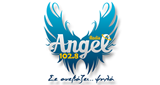 Logo Radio Angel 102.8
