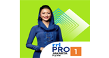 Logo RRI Pro 1