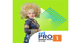 Logo RRI Pro 1 - Banda Aceh
