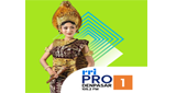 Logo RRI Pro 1 - Denpasar