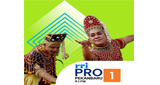 Logo RRI Pro 1 - Pekanbaru