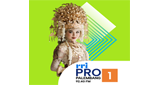 Logo RRI Pro 1 - Palembang