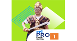 Logo RRI Pro 1 - Ende