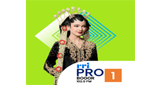 Logo RRI Pro 1 - Bogor