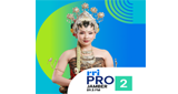 Logo RRI Pro 2 - Jember