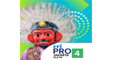 Logo RRI Pro 4