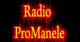 Logo Radio Pro Manele