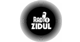 Logo Radio Zidul