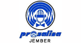 Logo Prosalina Radio