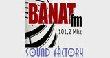 Logo Banat FM