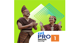 Logo RRI Pro 1 - Medan