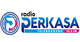 Logo Radio Perkasa FM