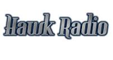 Logo Hawk
