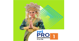Logo RRI Pro 1 - Banjarmasin