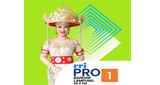 Logo RRI Pro 1 - Bandar Lampung