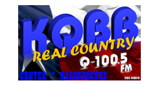 Logo Real Country Q100