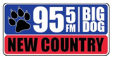 Logo Big Dog Country