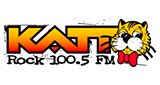 Logo Rock 100.5 FM