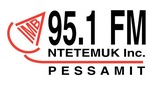 Logo Radio Ntetemuk