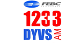 Logo 1233 DYVS