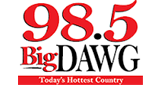 Logo The Big Dawg