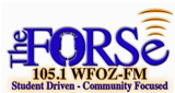 Logo The FORSe