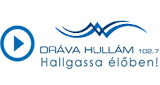 Logo Drava Hullam