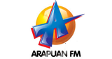 Logo Arapuan FM