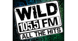 Logo Wild 105.5