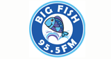 Logo Big Fish