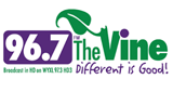 Logo The Vine