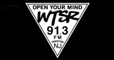 Logo WTSR 91.3 FM