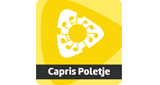 Logo Radio Capris Poletje