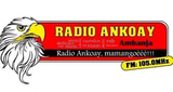 Logo Radio Ankoay 105 FM