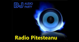 Logo Radio Pitesteanu