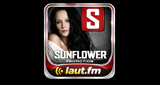 Logo Sunflower Promotion - New Hits