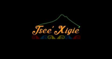Logo Tsae Xigiae La Voz de Teotitlan 1