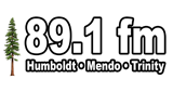 Logo 89.1 FM KADV