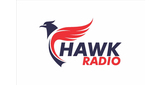 Logo Hawk Radio