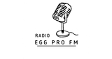 Logo RADIO EGG PRO FM