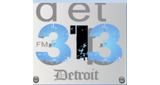 Logo Det 313 FM