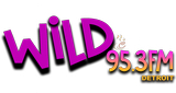 Logo Wild