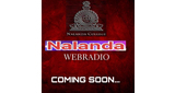 Logo Radio NBC